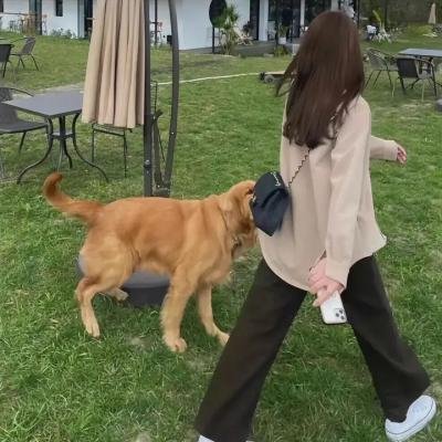 白粉飞 第三季