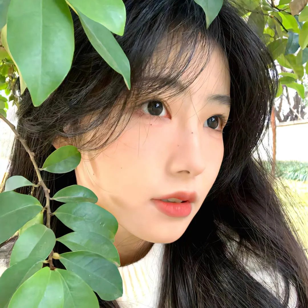 花游记